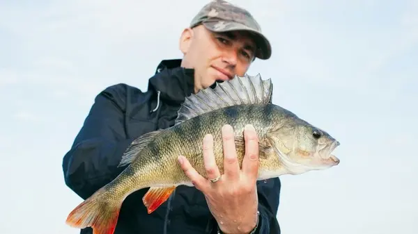 Лунный календарь рыбака на октябрь 2025 года: когда лучше ловить рыбу