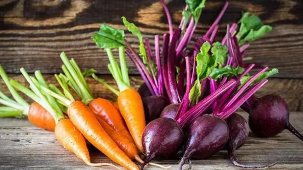 Когда лучше выкапывать свеклу и морковь для длительного хранения