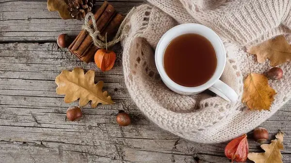 Почему осень — идеальное время для формирования здоровых привычек