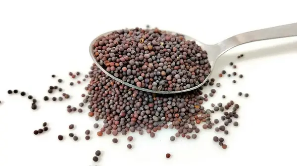 Секрет немецких хозяек: как горчица помогает получить идеальный пол без разводов