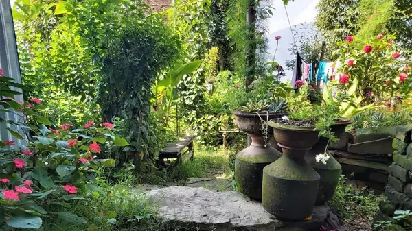 Весной сад вас поблагодарит: эксперты назвали 4 цветка, которые не стоит обрезать осенью