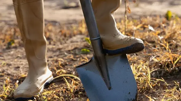 Нужно ли перекапывать огород осенью или нет: в чем главная ошибка дачников