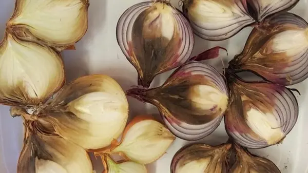 Почему лук гниет лук при хранении: ошибка, которую совершают 90% дачников
