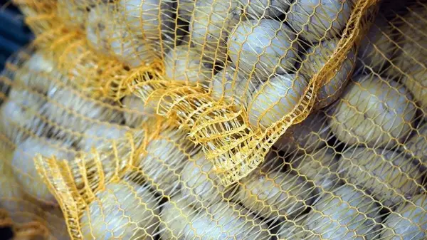 Чтобы картофель пролежал 8 месяцев без погреба: надежный метод для длительного хранения