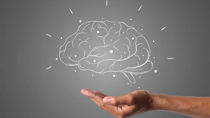 Как сохранить молодость мозга: помогут всего две привычки