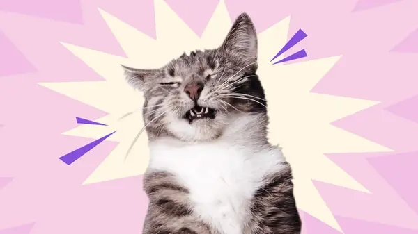 Узнайте, почему ваш котенок чихает и как ему помочь