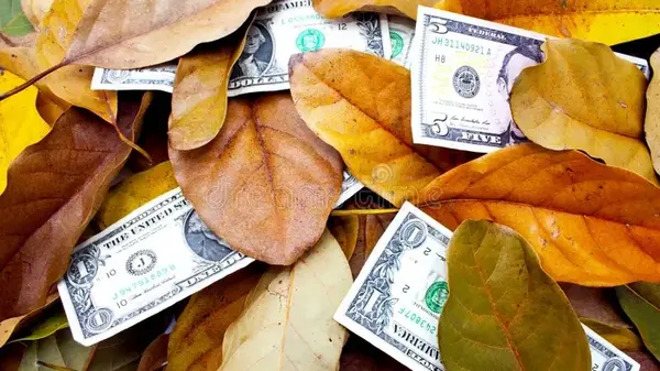 Финансовый гороскоп на неделю: кого из знаков Зодиака ждет прибыль 6-12 октября