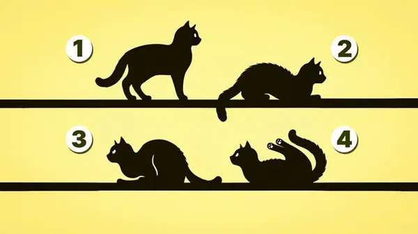 В чем ваше предназначение: быстрый тест даст ответы, которые изменят жизнь