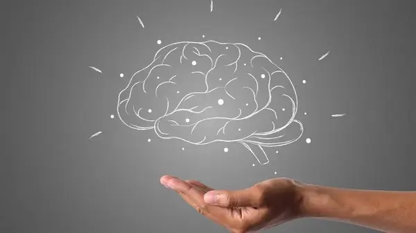 Как сохранить молодость мозга: помогут всего две привычки