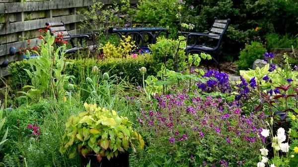 Обогащение почвы: 6 способов улучшить плодородие осенью для идеального весеннего сада