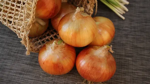 Лук гниет только из-за этой ошибки: не делайте так