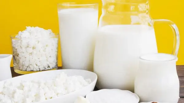 Важнейший дуэт для пищеварения: как пробиотики и пребиотики работают вместе