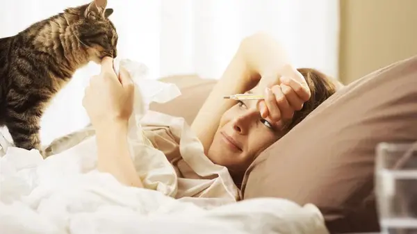 Может ли кошка почувствовать, когда вы больны: ответ ветеринаров вас удивит