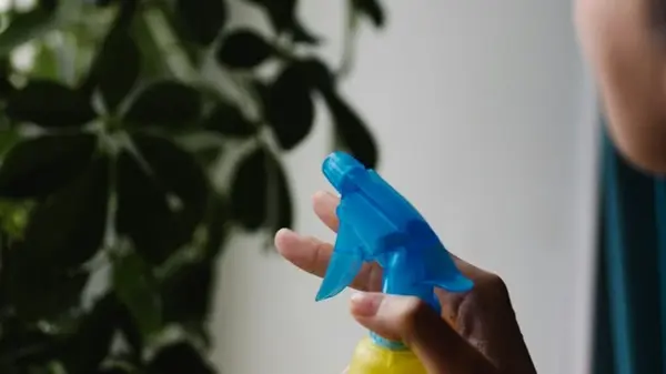 Комнатные растения засияют: секреты, как очищать листья, чтобы они дышали, а пыль не оседала