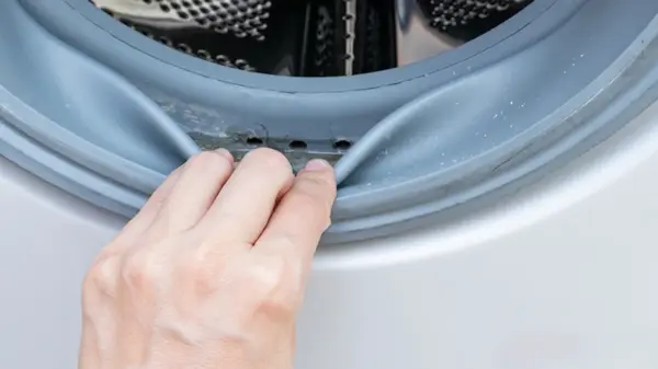 Стиральная машина не заплесневеет, если делать одно действие после каждой стирки