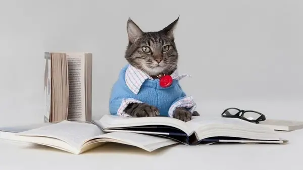 8 привычек, которые, по мнению психологов, свидетельствуют о низком уровне интеллекта человека