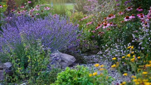 Осенняя ошибка, которая вредит вашему саду — не повторяйте ее