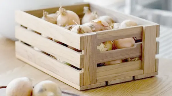 Как хранить лук на зиму: три ошибки, из-за которых урожай не доложит до весны