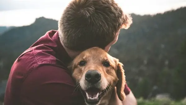 Две породы собак, чья преданность людям не имеет предела: никогда не предадут