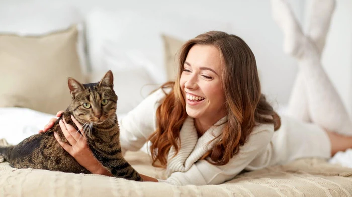 Почему кот везде ходит за своим хозяином: специалисты назвали 9 причин такого поведения