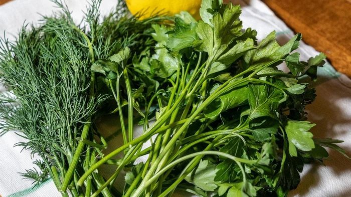 Как сохранить зелень свежей в холодильнике максимально долго без замораживания: лучшие способы