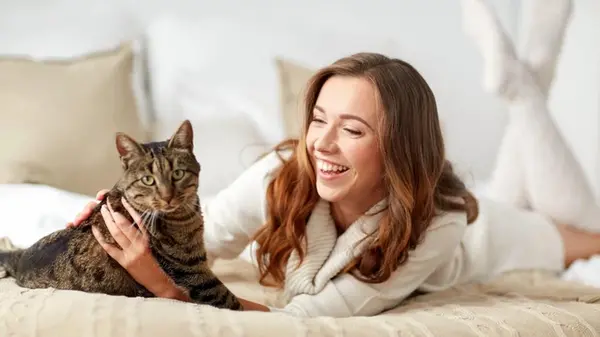 Почему кот везде ходит за своим хозяином: специалисты назвали 9 причин такого поведения