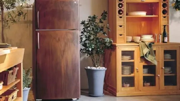 Поставьте это на холодильник — и дом наполнится деньгами: секрет изобилия, о котором никто не знает