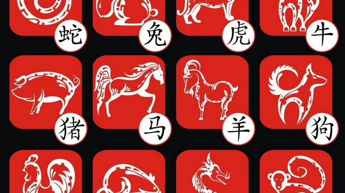 Эти китайские знаки Зодиака почувствуют зов судьбы: что их ждет