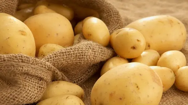 Как хранить картофель в квартире: практические советы