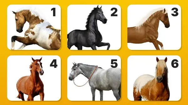 Выберите лошадь и узнайте о себе что-то новое: поразительно точный тест
