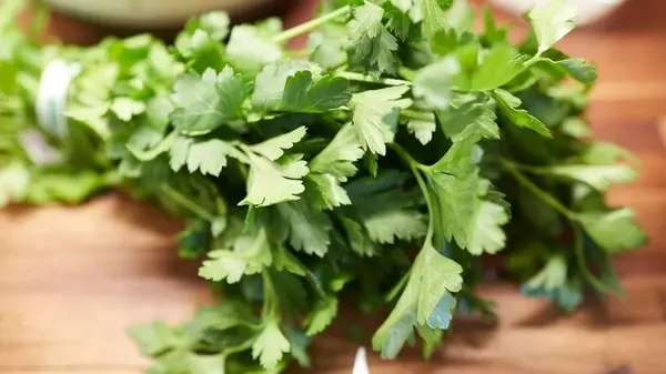 Когда и как сеять петрушку на зиму: советы для хорошего урожая