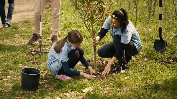 У садоводов спросили, когда лучше сажать деревья, и все они ответили одинаково