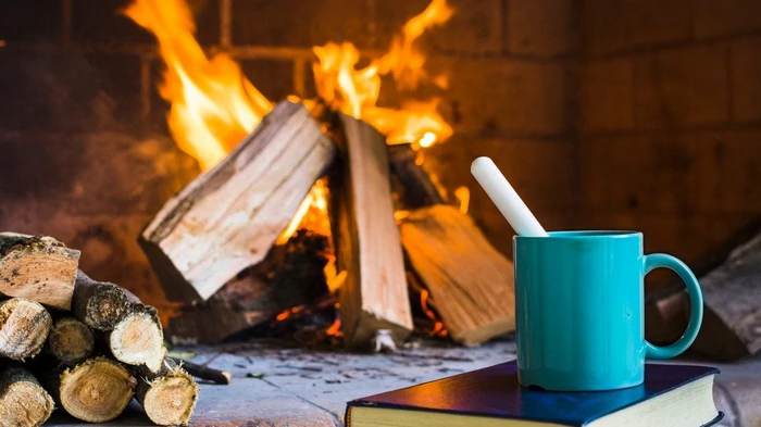 Что делать, чтобы сырые дрова хорошо горели и отдавали максимальное количество тепла