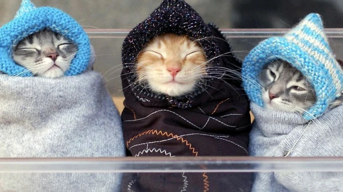 Как сохранить тепло в квартире зимой: сделайте только одну «хитрость» с окнами