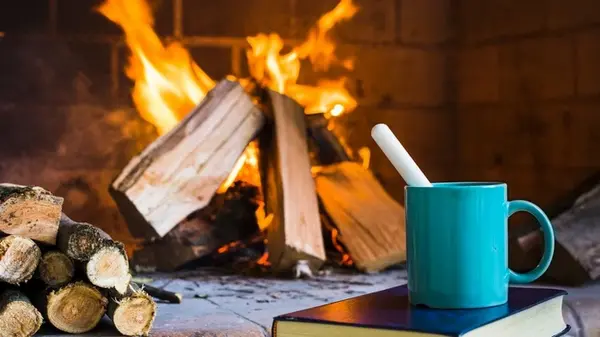 Что делать, чтобы сырые дрова хорошо горели и отдавали максимальное количество тепла