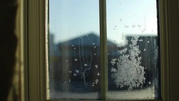 Даже в мороз: почему эксперты советуют проветривать квартиру каждый день зимой