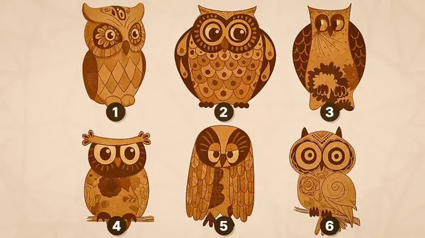 Какую сову вы выберете: тест на умение решать проблемы