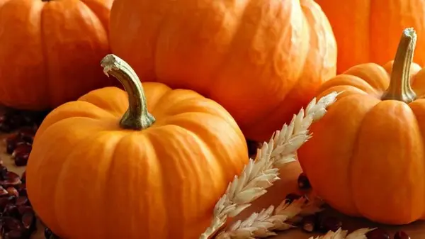 Сколько и как варить тыкву: 3 секрета, благодаря которым он не разварится и будет сладким