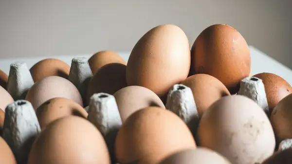 Почему яйца кладут острым концом вниз: можно ли их переворачивать