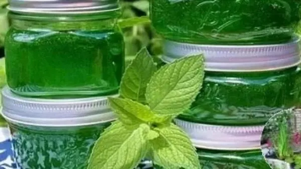 Как приготовить мятное варенье, спасающее от простуды