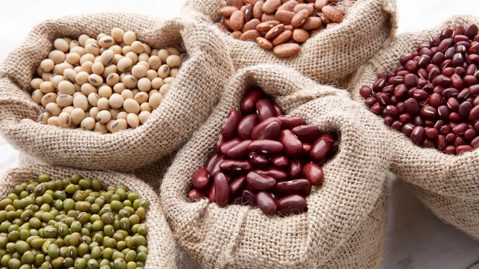 Полезно ли есть консервированную фасоль: диетолог дала четкий ответ