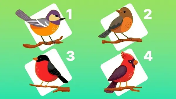 Любите или только привязываетесь: очень честный тест раскроет правду