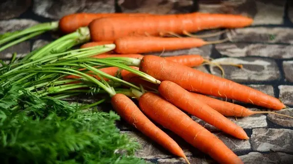 Чище чистого: как правильно мыть морковь, чтобы избавиться от грязи и микробов