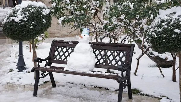 Лунный посевной календарь на декабрь 2025: благоприятные дни, что можно сажать и огородные советы