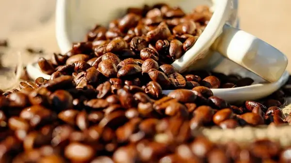 Кофе продлевает жизнь: сколько чашек в день могут замедлить старение