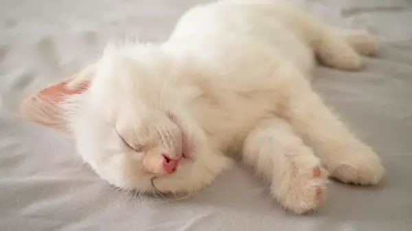 Тест на личность: вы действительно надежный человек, или тот, которому не доверяют другие