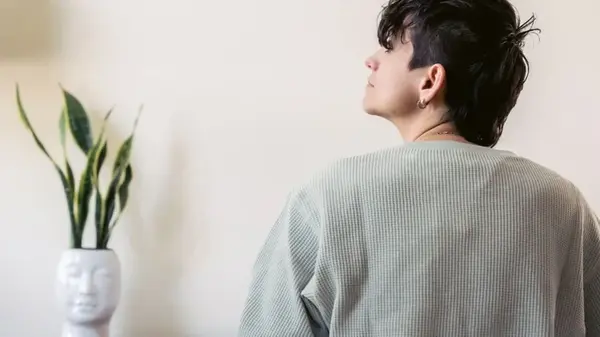 Как остановить плесень этой зимой: растения, которые работают лучше осушителей