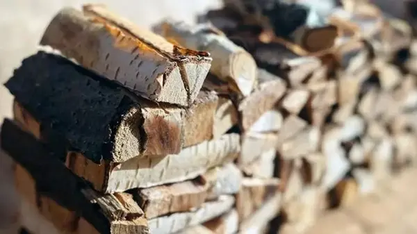 Как топить печь сырыми дровами и экономить топливо: советы для эффективного обогрева