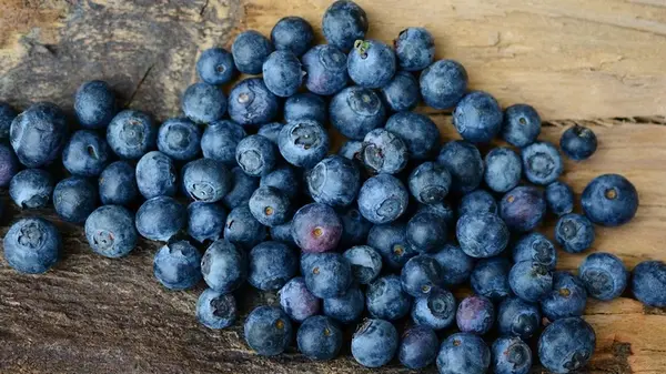 10 суперфудов, замедляющих старение и укрепляющих иммунитет