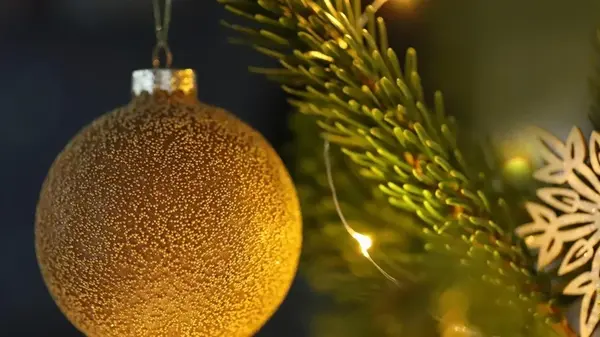 Как выбрать идеальную живую елку к Новому году: простые советы для безупречного праздничного настроения